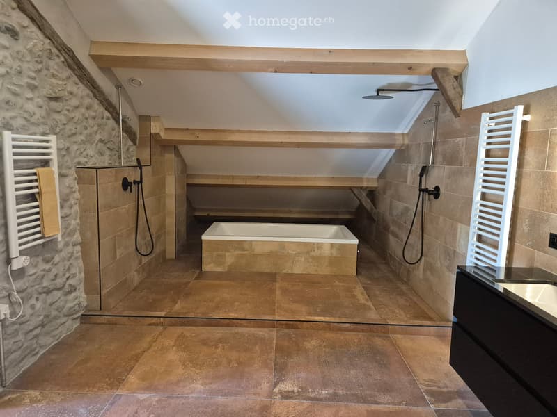 Appartement avec charme de l'ancien (1)