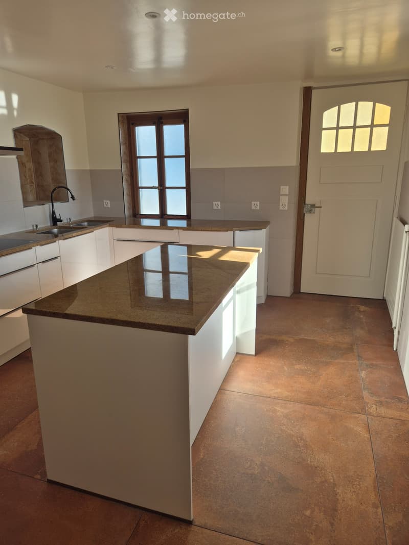 Appartement avec charme de l'ancien (4)