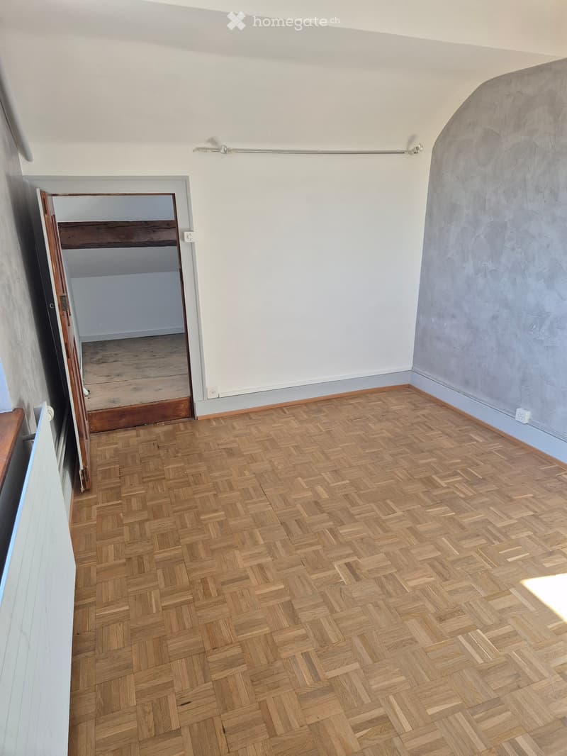 Appartement avec charme de l'ancien (2)