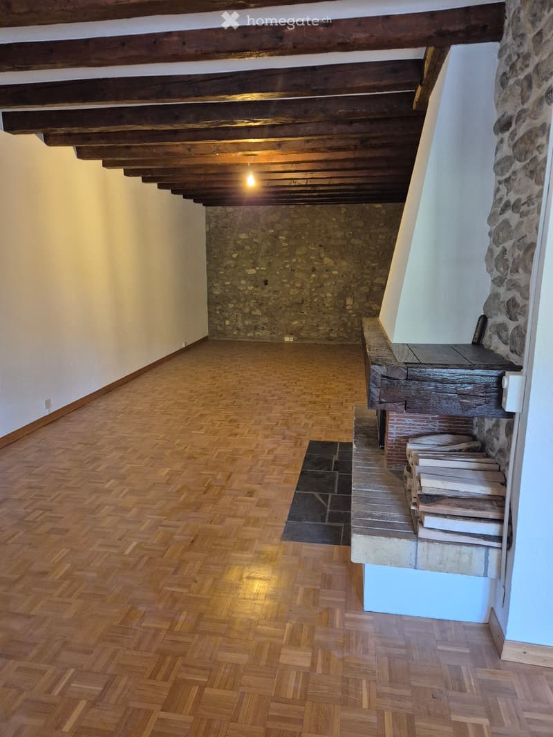 Appartement avec charme de l'ancien (5)