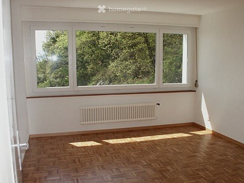 Bel appartement 4 pièces bien situé à Neuchâtel (3)