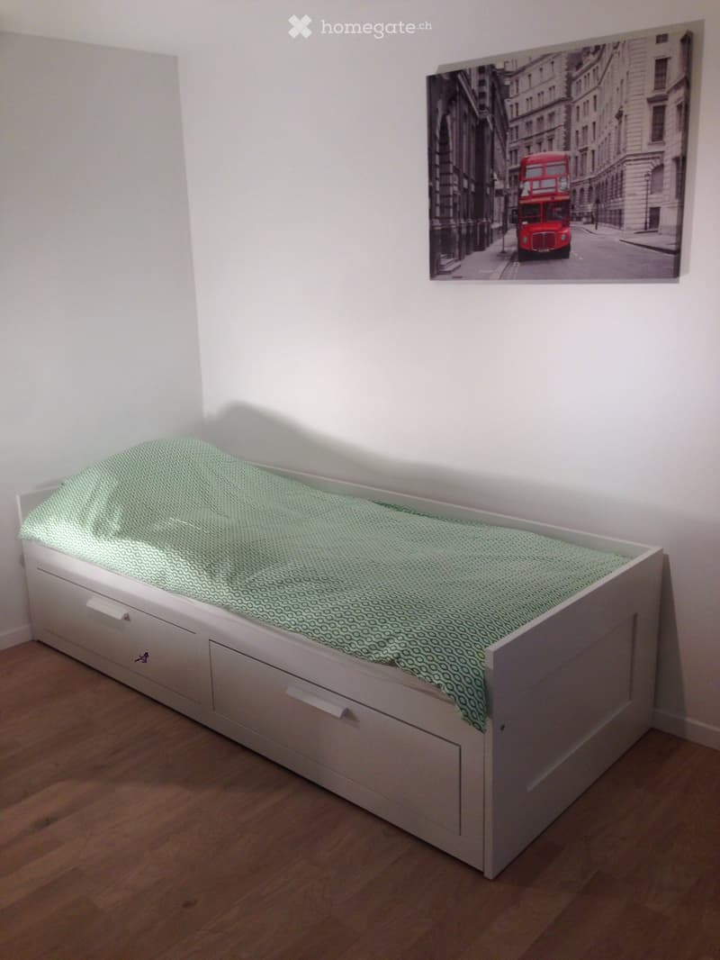 chambre à louer dans une villa à Plan-les-ouates (3)