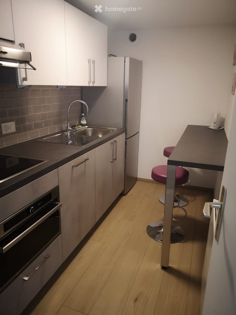 chambre à louer dans une villa à Plan-les-ouates (2)