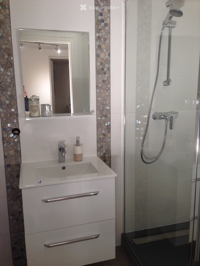 chambre à louer dans une villa à Plan-les-ouates (5)