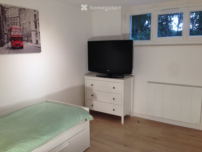 chambre à louer dans une villa à Plan-les-ouates (1)