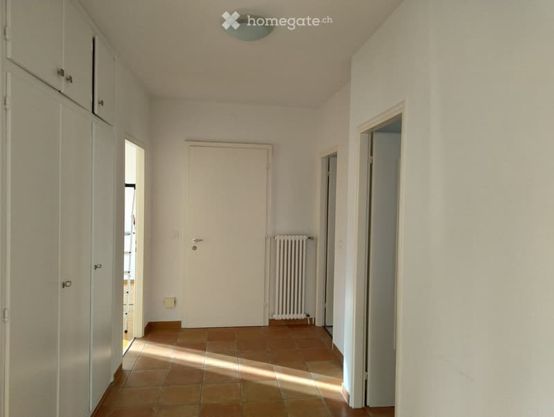 Luminoso appartamento a Minusio (2)