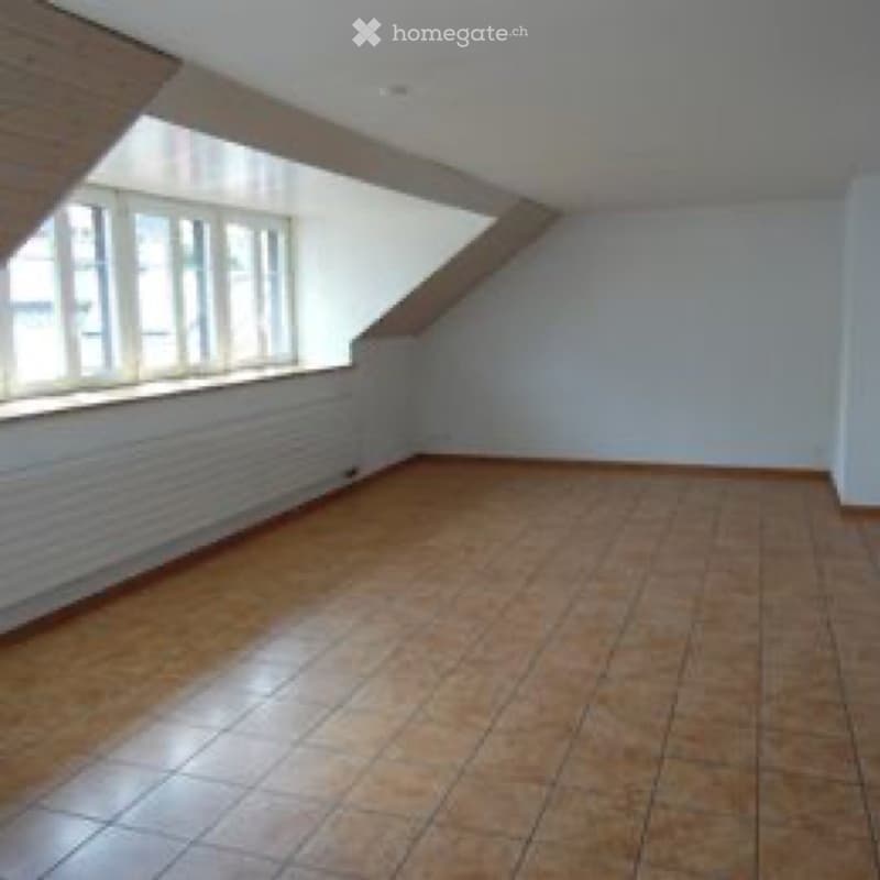 Très bel appartement de 4,5 grandes pièces (3)
