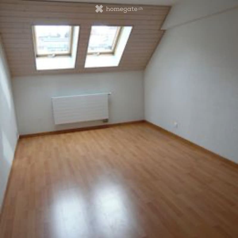 Très bel appartement de 4,5 grandes pièces (2)