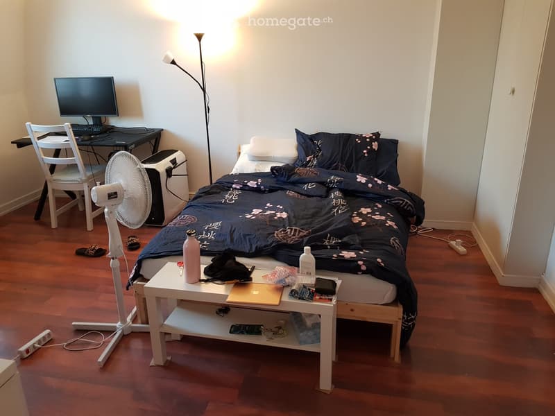 Studio lumineux de 27 m² au centre de Genève (2)