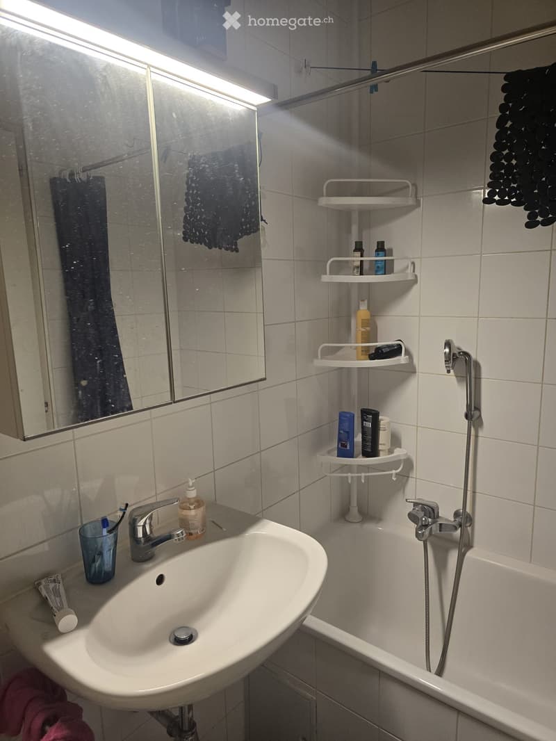 Studio lumineux de 27 m² au centre de Genève (3)