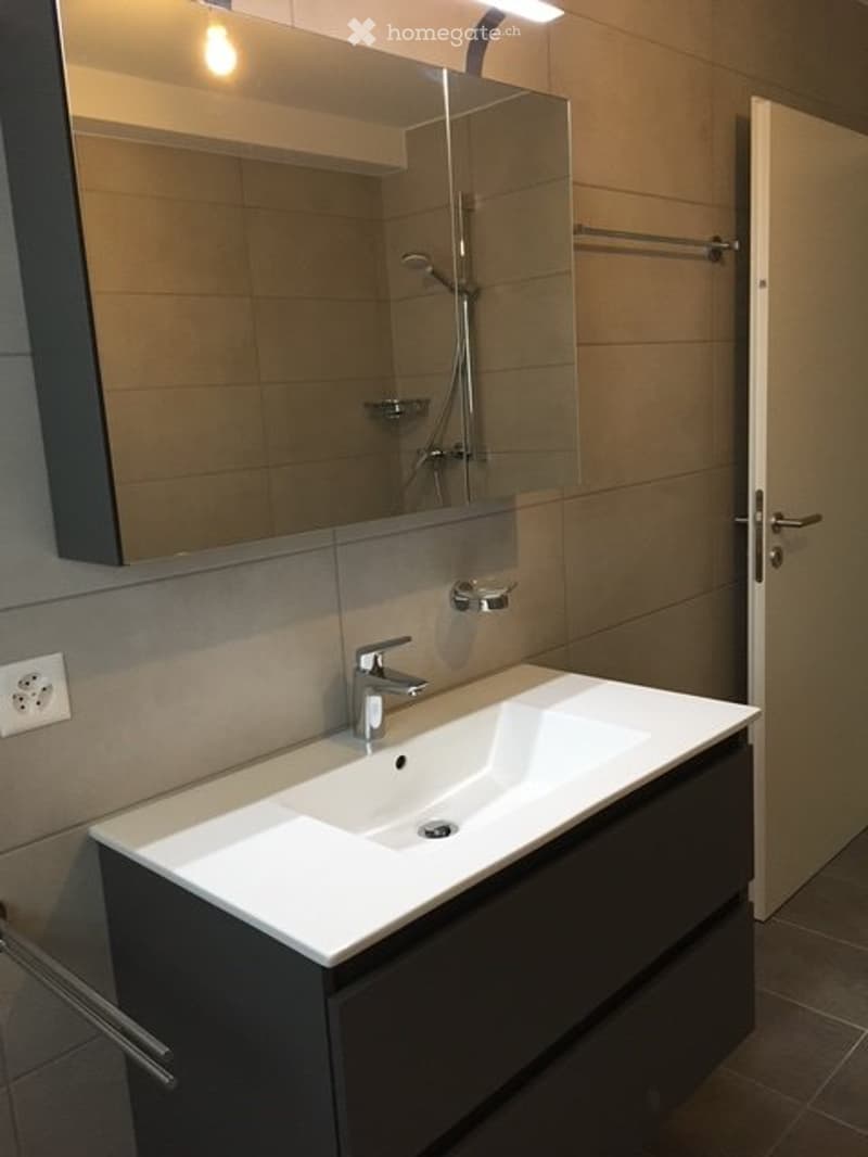 Appartement rez de chaussée avec terrasse (5)