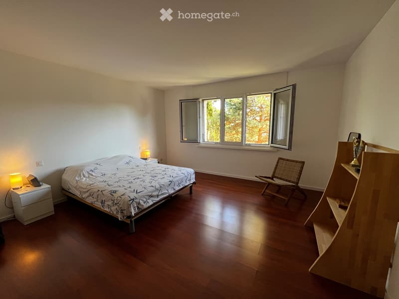 Très bel appartement dernier étage vue lac 3 chambres (4)