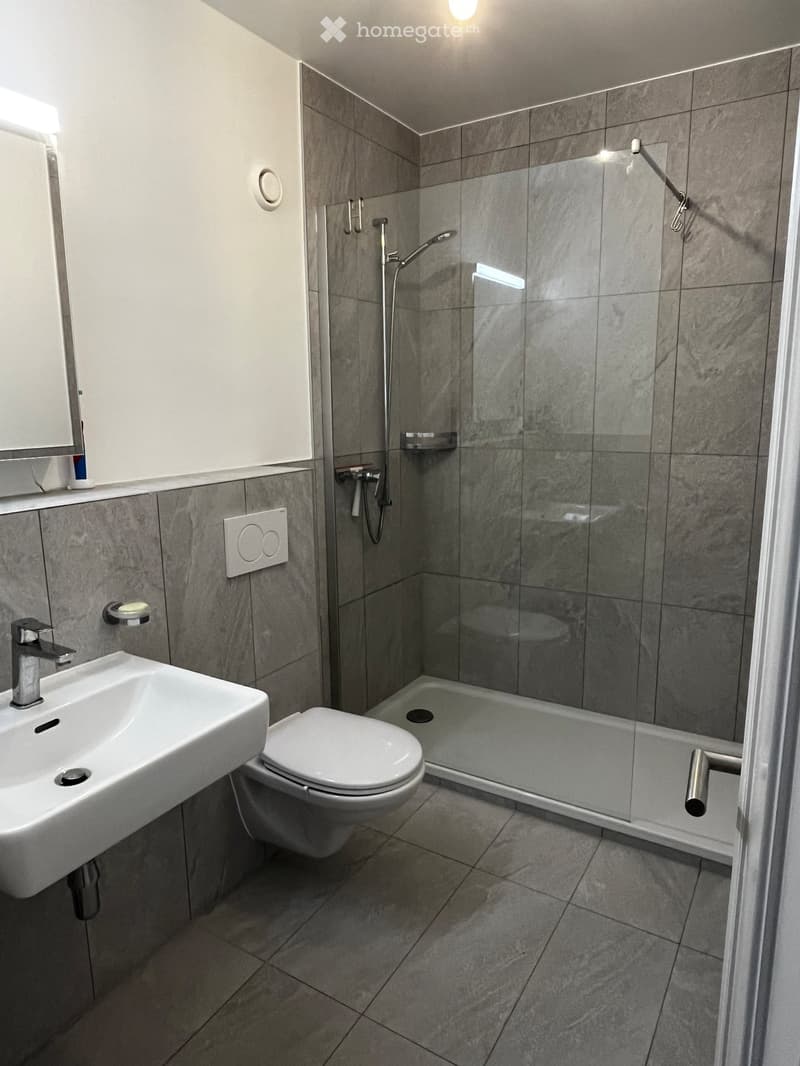 Très bel appartement dernier étage vue lac 3 chambres (5)
