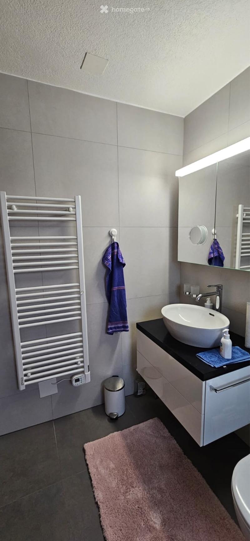 Appartement 3,5 pièces au rez avec terrasse et jardin (5)