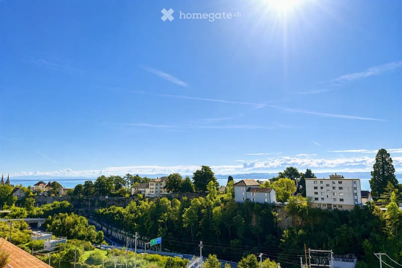 Duplex 90 m², dernier étage, terrasse sud, vue Alpes & lac (5)