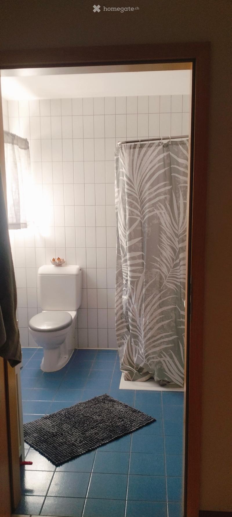 Appartement 2.5 (2)