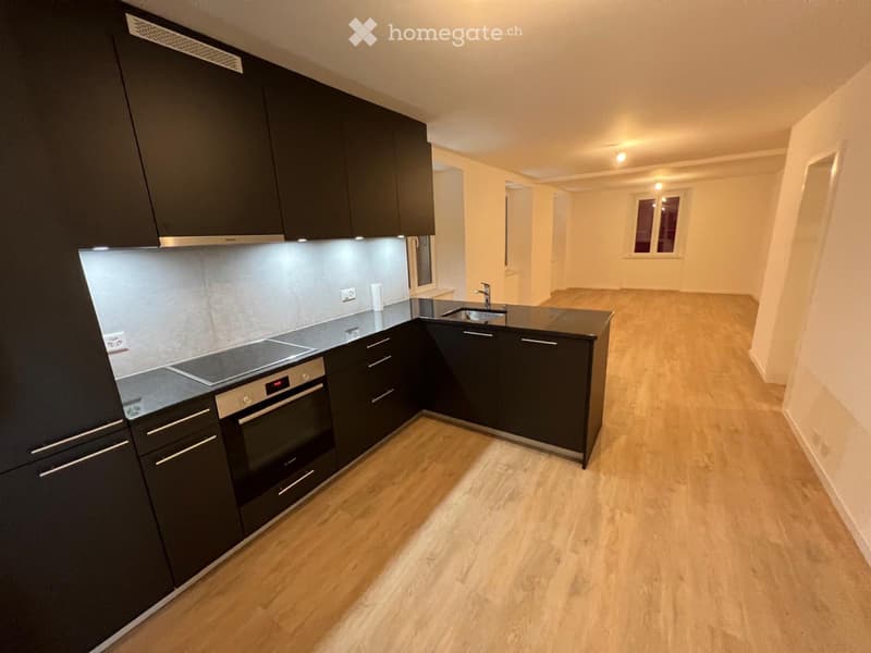 Magnifique appartement de 4.5 pièces (1)