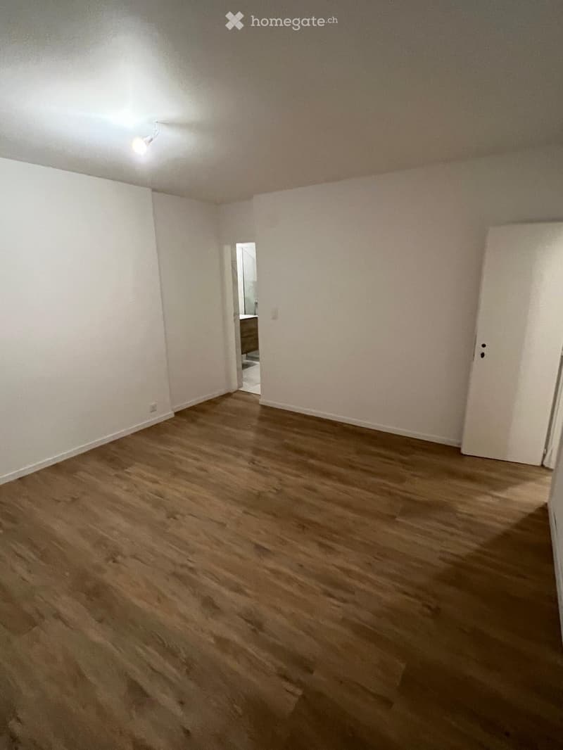 Magnifique appartement de 4.5 pièces (3)