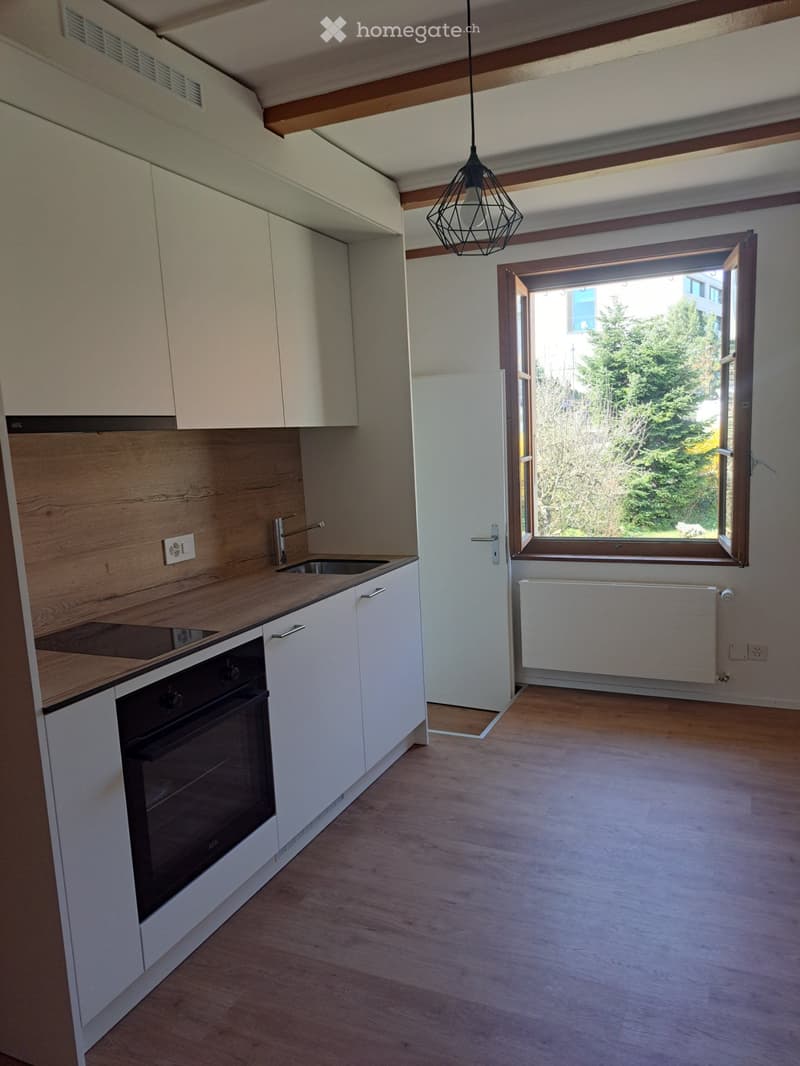 Magnifique appartement tout rénové au centre-ville (1)