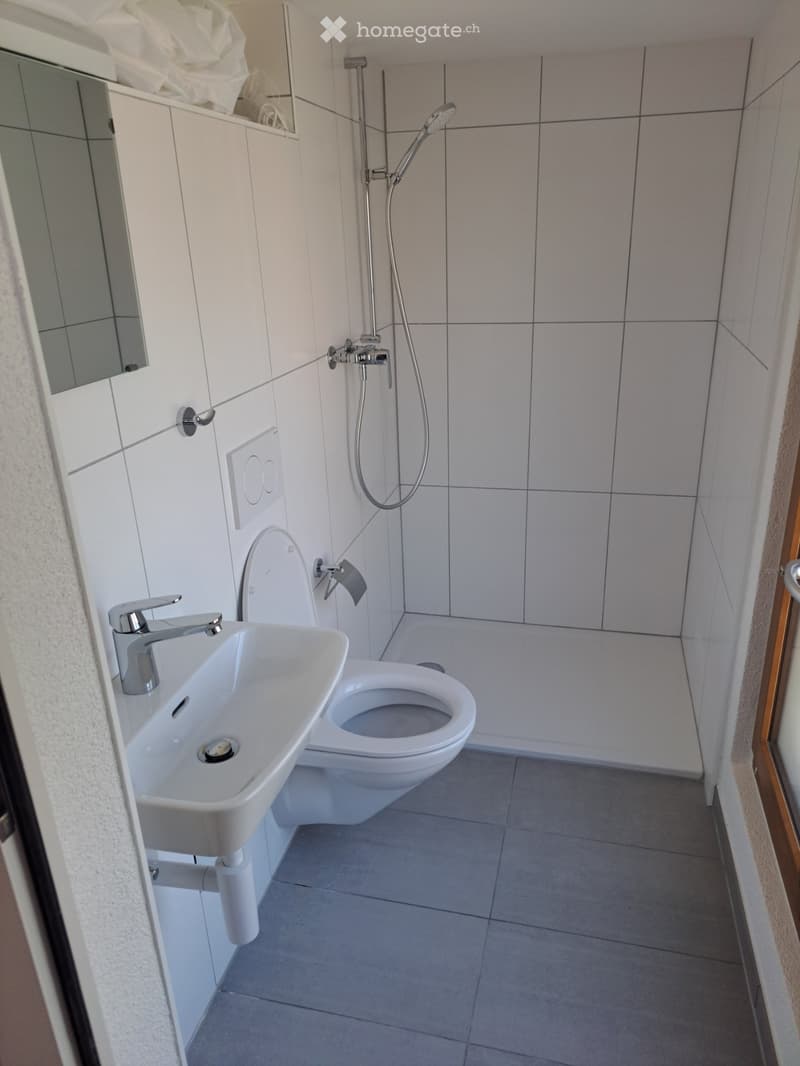 Magnifique appartement tout rénové au centre-ville (3)