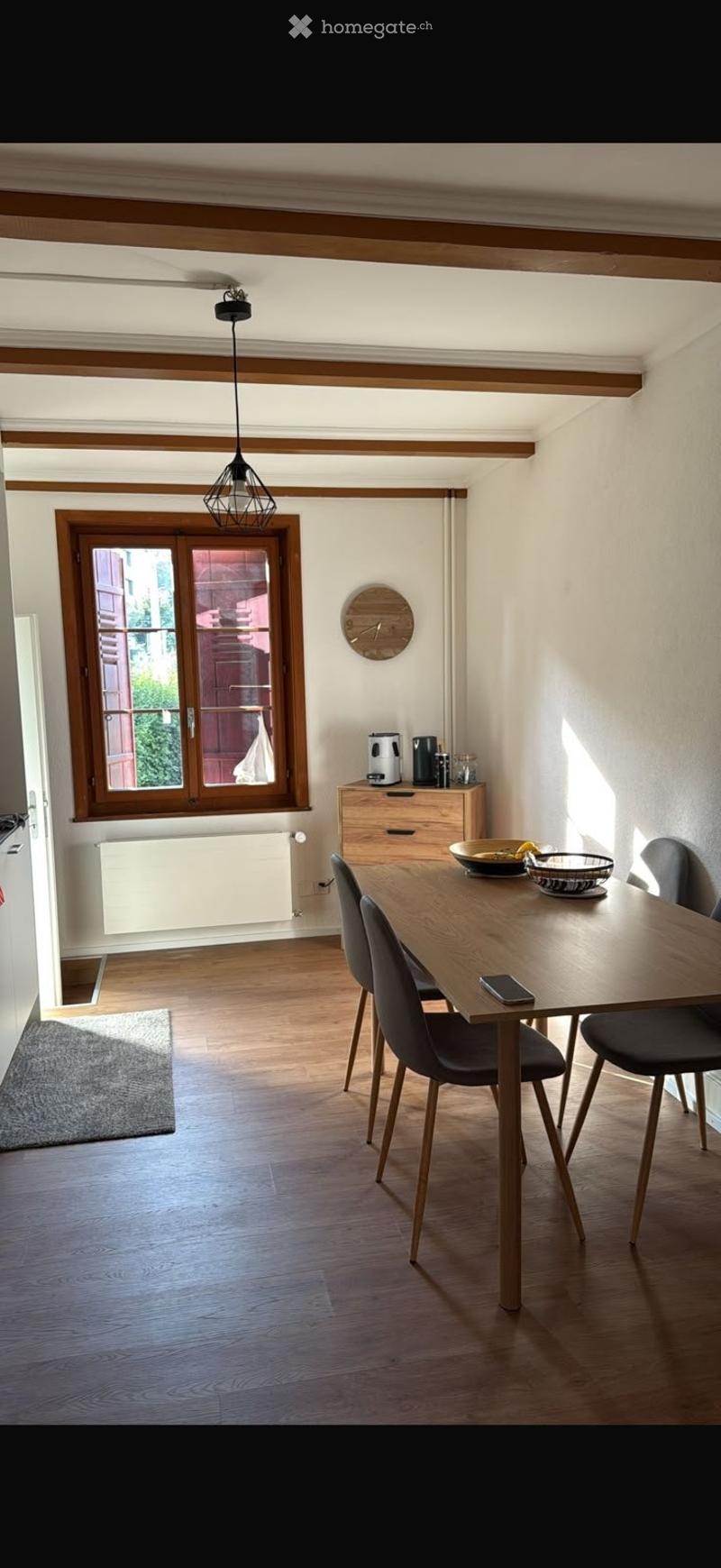 Magnifique appartement tout rénové au centre-ville (4)