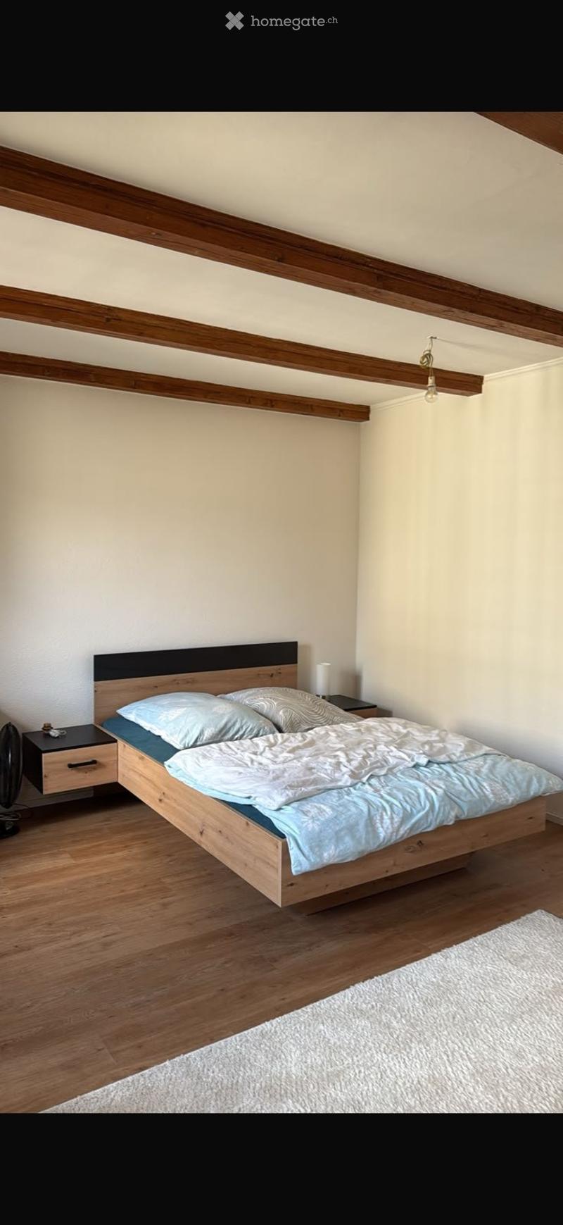 Magnifique appartement tout rénové au centre-ville (5)