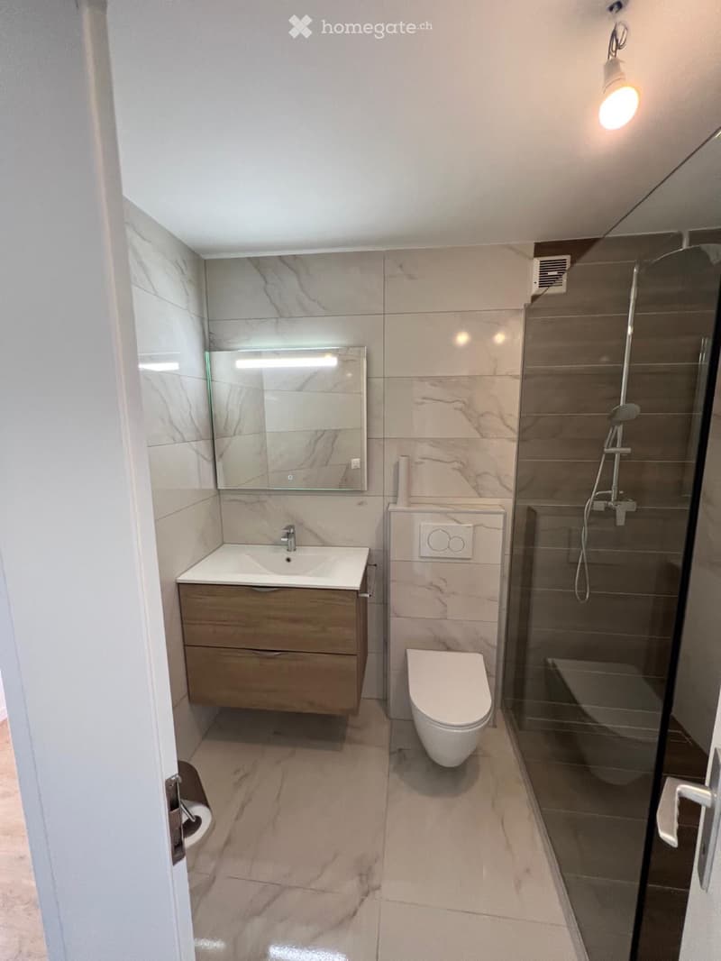 Magnifique appartement de 4 pièces (5)