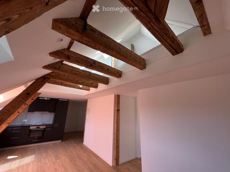 Magnifique appartement de 4 pièces (2)