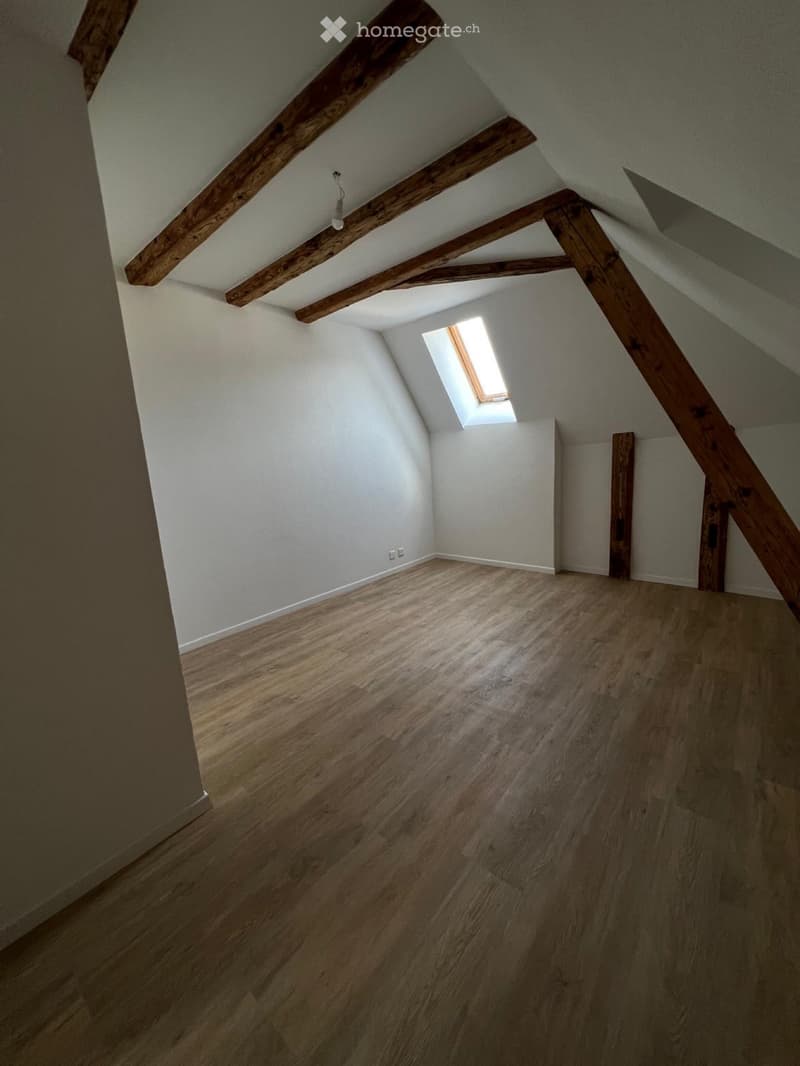 Magnifique appartement de 4 pièces (3)