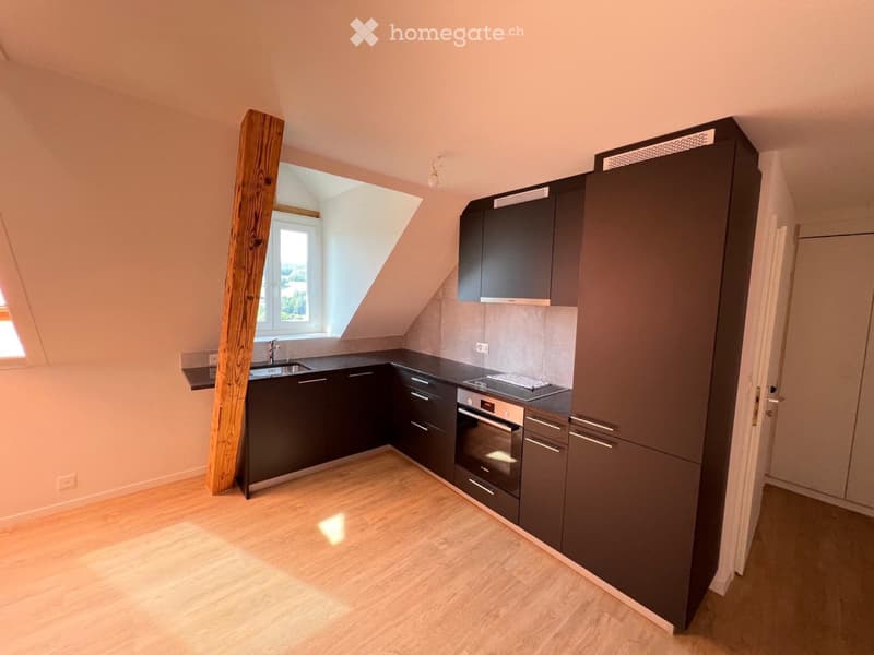 Magnifique appartement de 4 pièces (1)