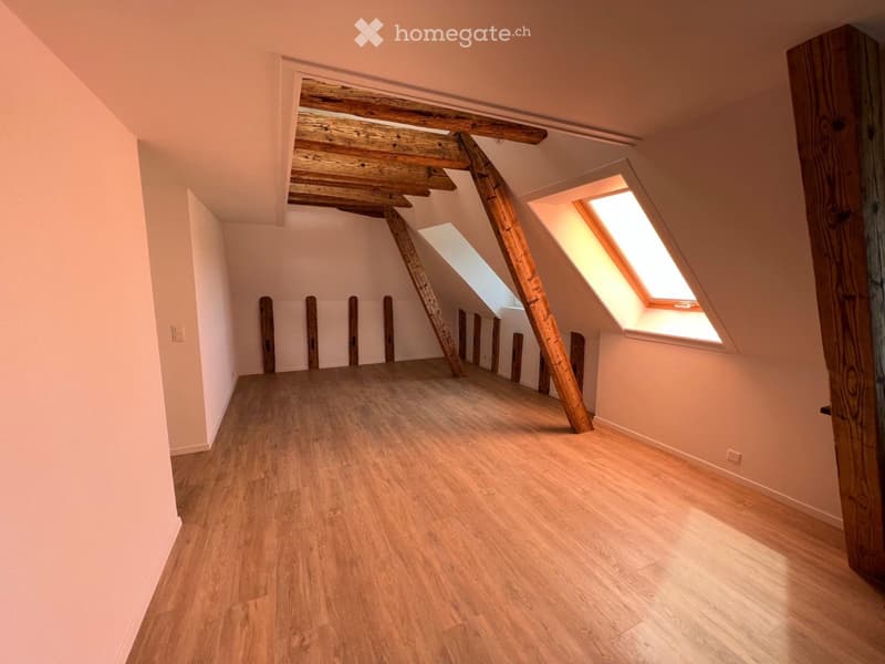 Magnifique appartement de 4 pièces (4)