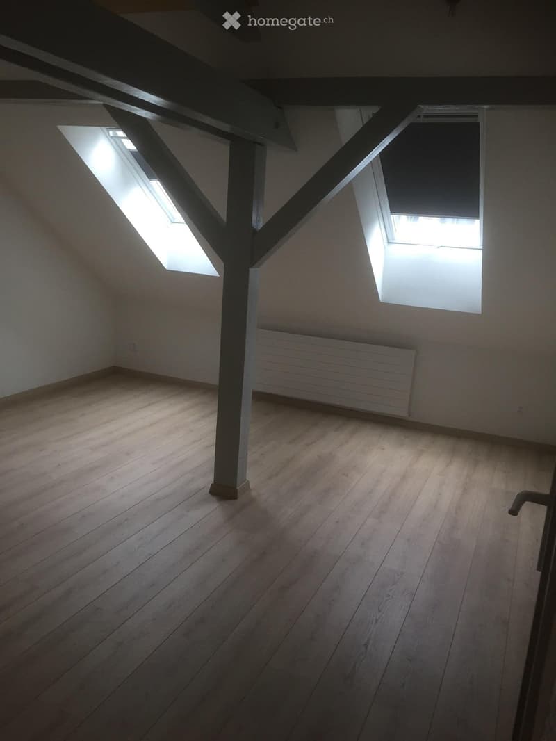 Beau duplex à louer au centre-ville de Bienne (3)