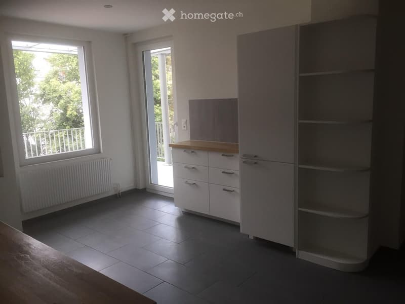 Beau duplex à louer au centre-ville de Bienne (2)