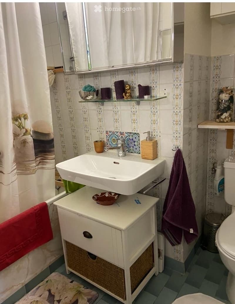 Chambre à louer Florissant-Malagnou (2)