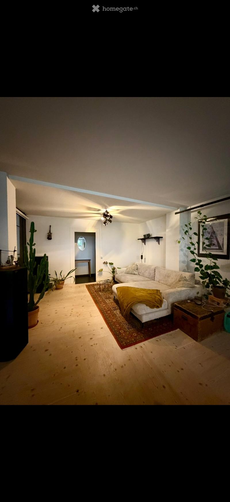 Magnifique Appartement de 100m2 (3)