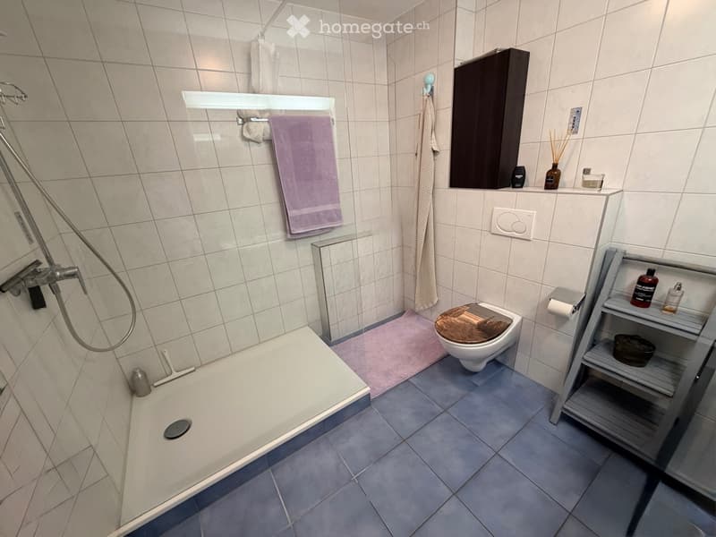 Magnifique Duplex disponible immédiatement (5)