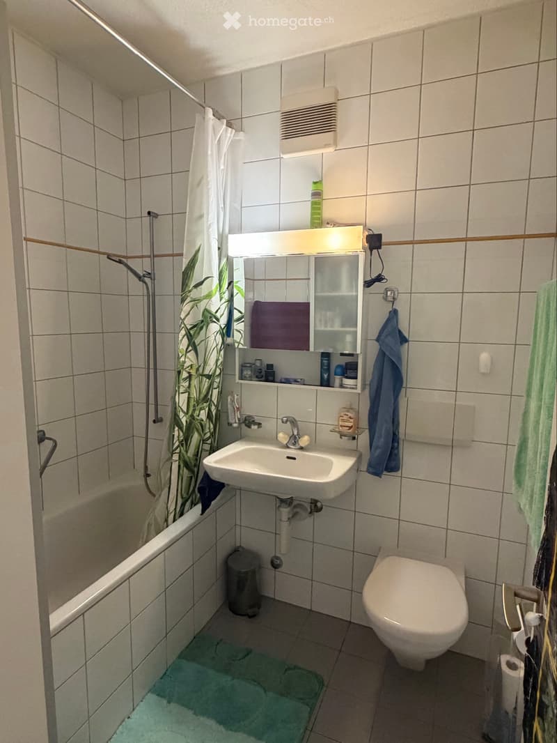 Appartement 3 pièces  en centre-ville de Fribourg (5)