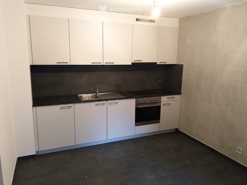 Studio avec un très grand balcon à Sion (1)
