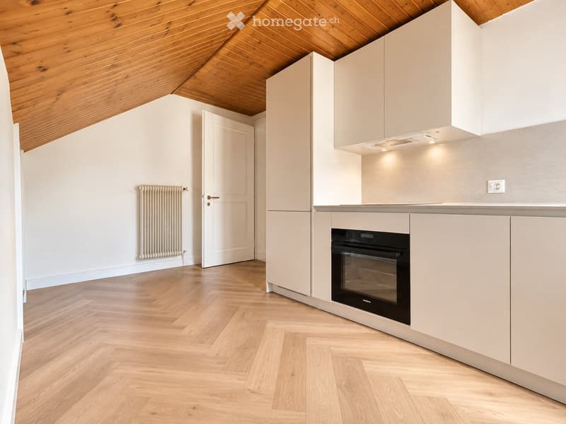 Joli appartement de 2,5 pièces balcon et vue sur le lac (3)