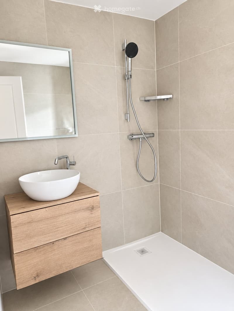 Joli appartement de 2,5 pièces balcon et vue sur le lac (4)