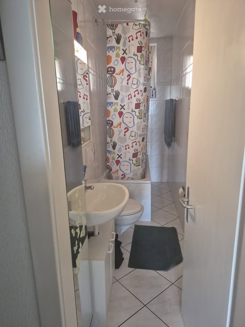 Appartement à louer / 3.5 pièces / Balcon / Vue sur le lac (5)