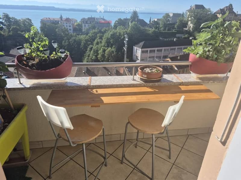 Appartement à louer / 3.5 pièces / Balcon / Vue sur le lac (1)