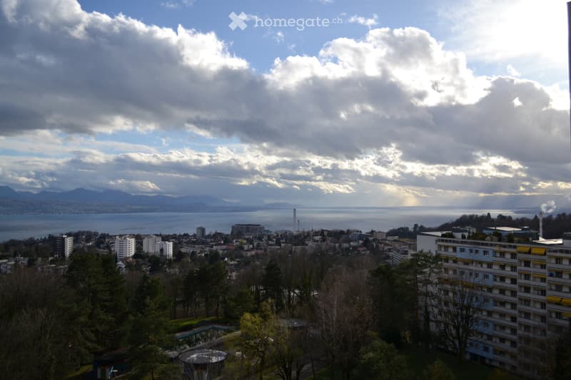 Studio dans les hauts de Lausanne (1)
