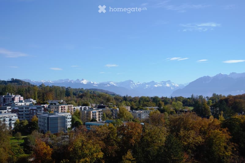 Studio dans les hauts de Lausanne (2)