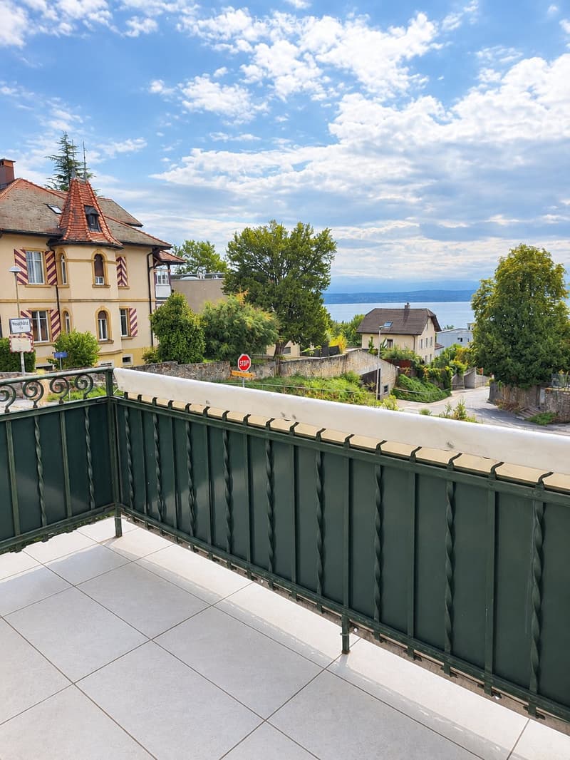 Charmant appartement 2,5p rénové avec balcon et vue sur lac (4)