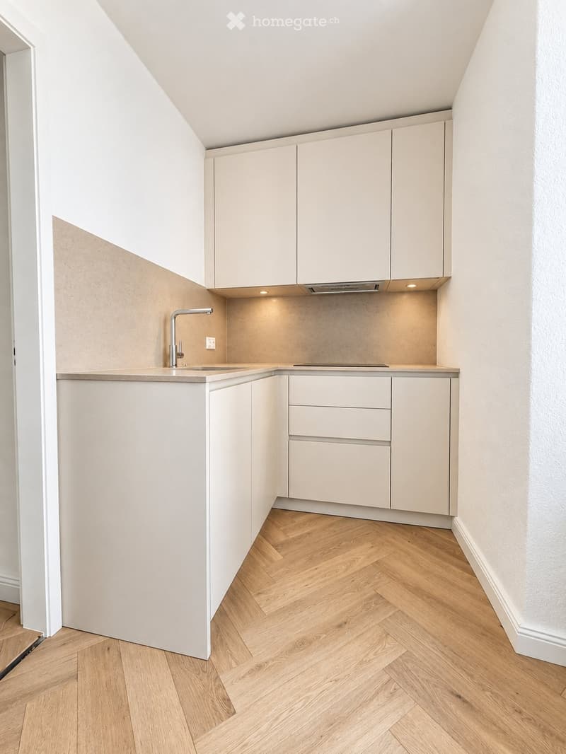 Charmant appartement 2,5p rénové avec balcon et vue sur lac (3)
