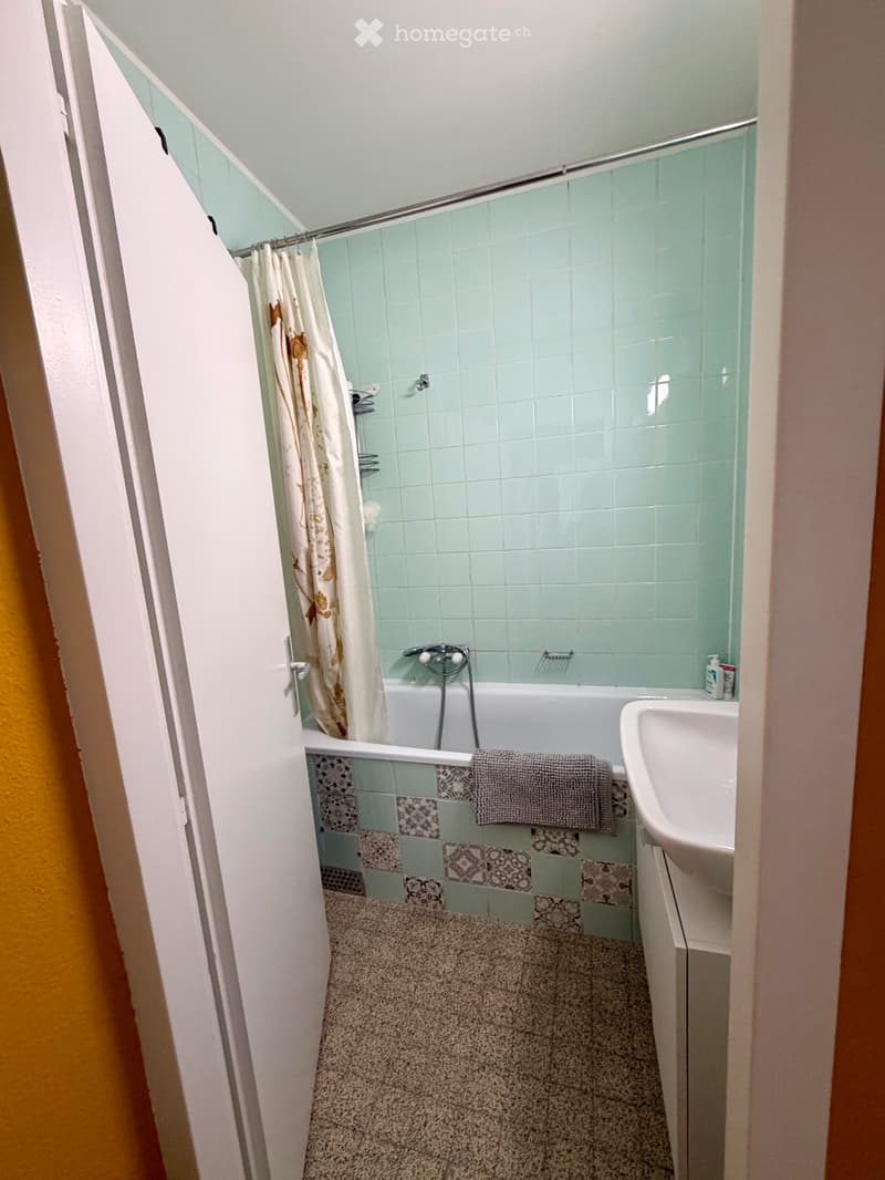 Bel appartement 3 pièces avec balcon au 10e et dernier étage (4)