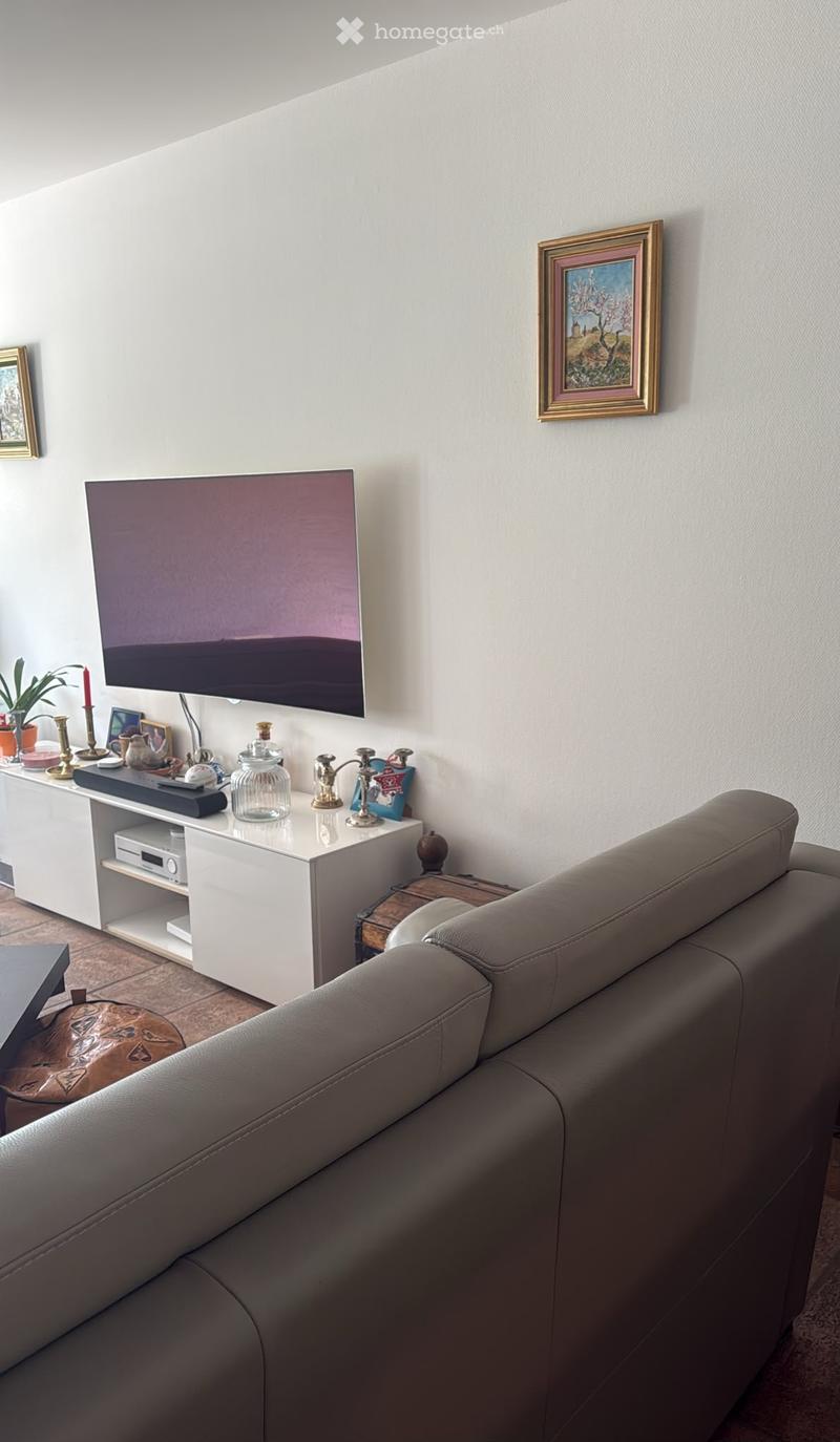 Magnifique appartement de 110m2 à louer (1)