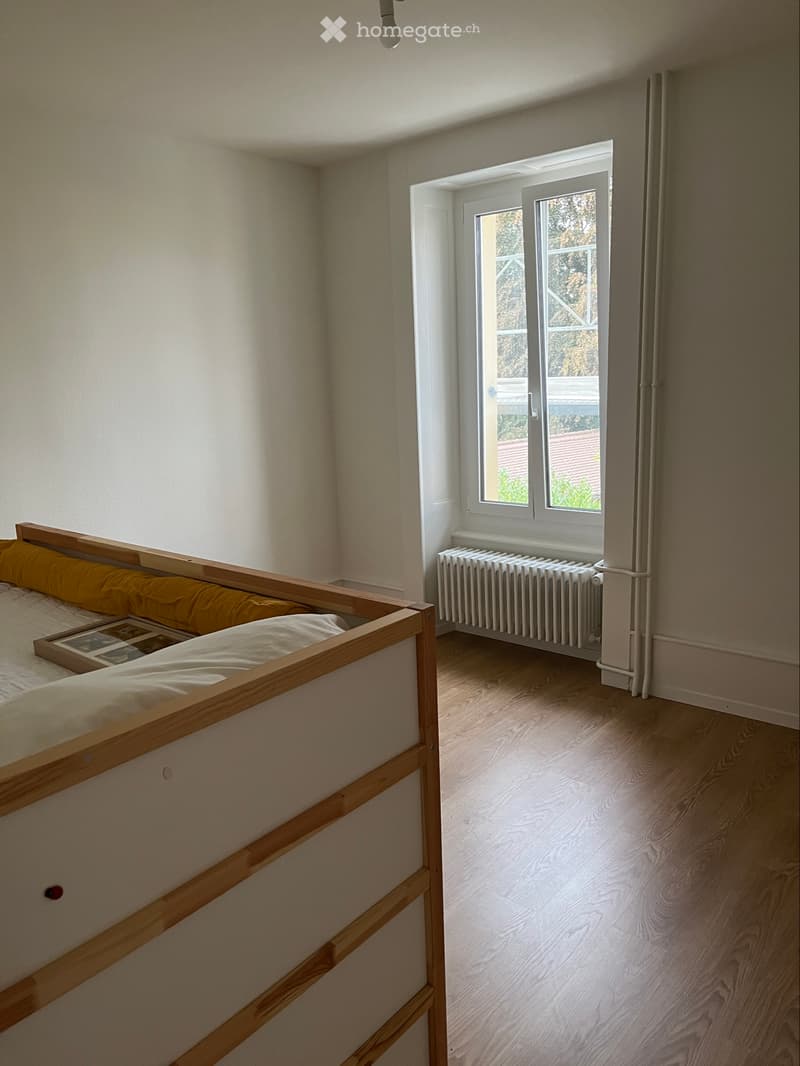 Appartement 4 pièces rénové au centre de Colombier (5)
