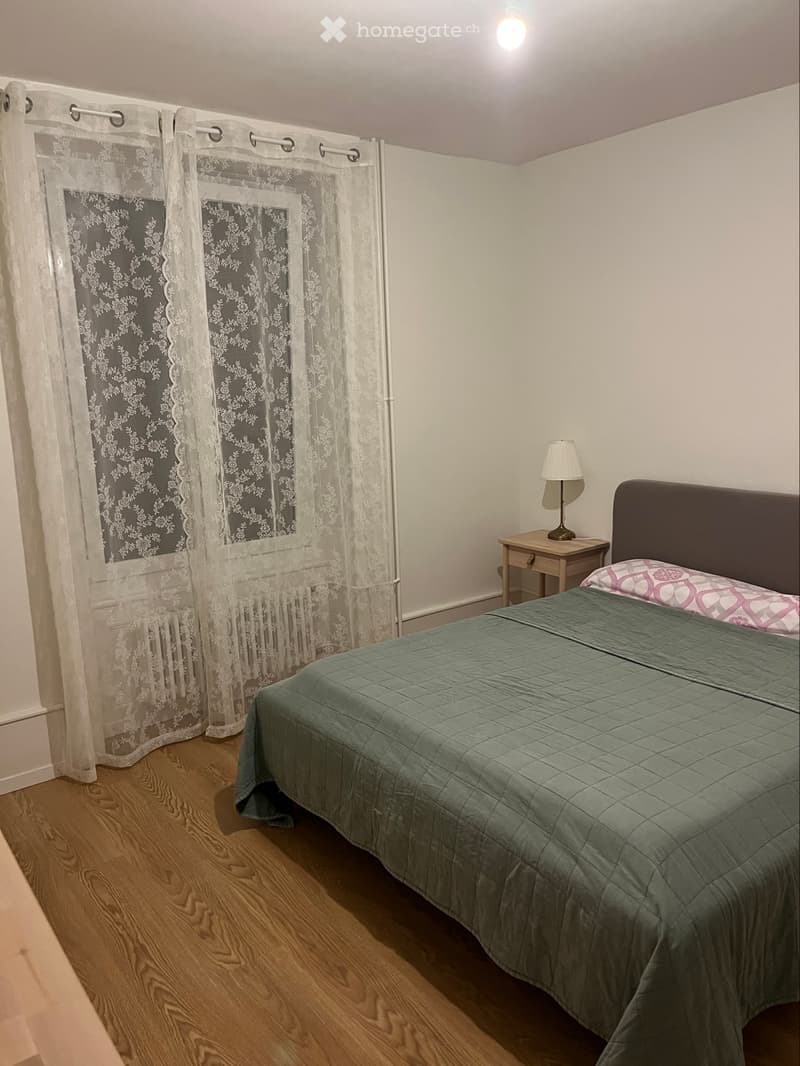 Appartement 4 pièces rénové au centre de Colombier (3)
